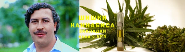 ГАЛЛЮЦИНОГЕННЫЕ ГРИБЫ Елабуга