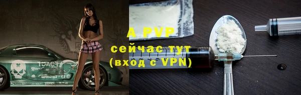 твердый Заводоуковск