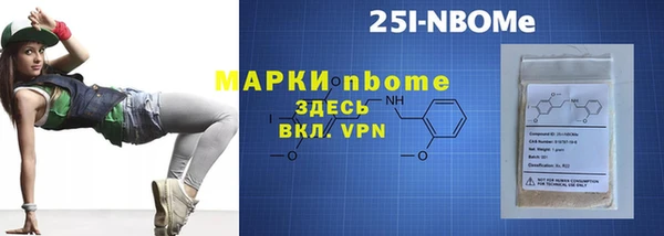 твердый Заводоуковск