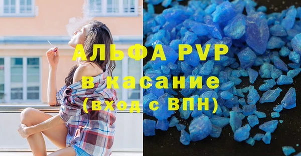 ГАЛЛЮЦИНОГЕННЫЕ ГРИБЫ Елабуга