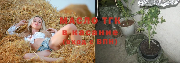 твердый Заводоуковск