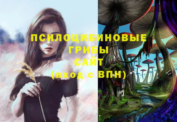 ALPHA-PVP Елизово