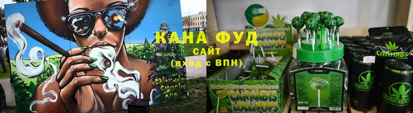 твердый Заводоуковск