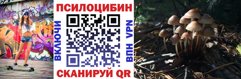 даркнет сайт  Сунжа  Галлюциногенные грибы GOLDEN TEACHER 