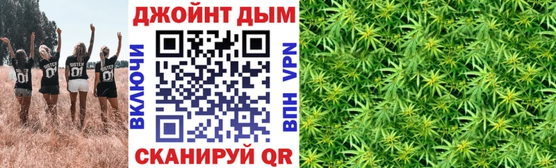 Шишки марихуана OG Kush  продажа наркотиков  Сунжа 